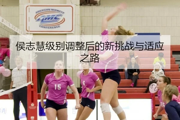 侯志慧级别调整后的新挑战与适应之路